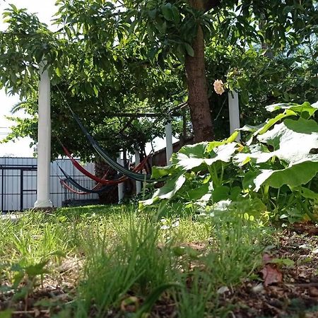 Hospedaje Curico Casa Grande 外观 照片